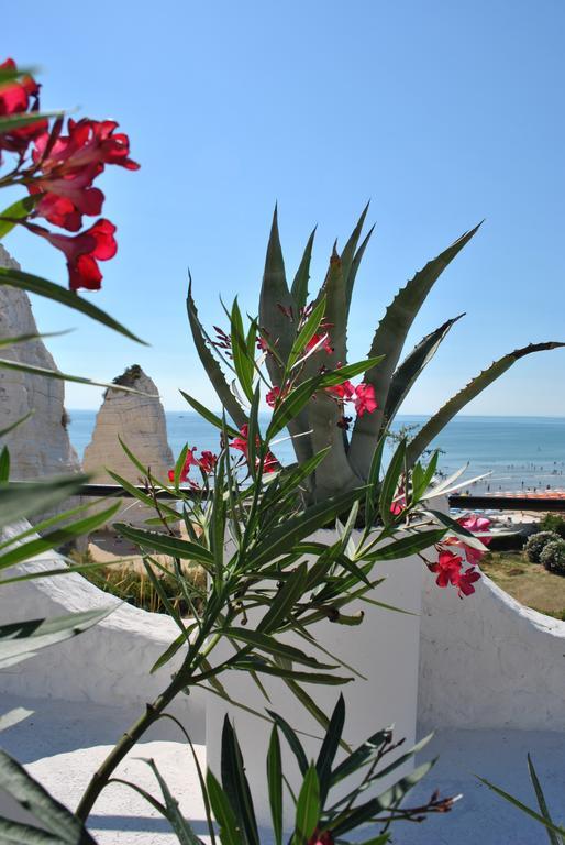 Hotel Falcone Vieste Zewnętrze zdjęcie